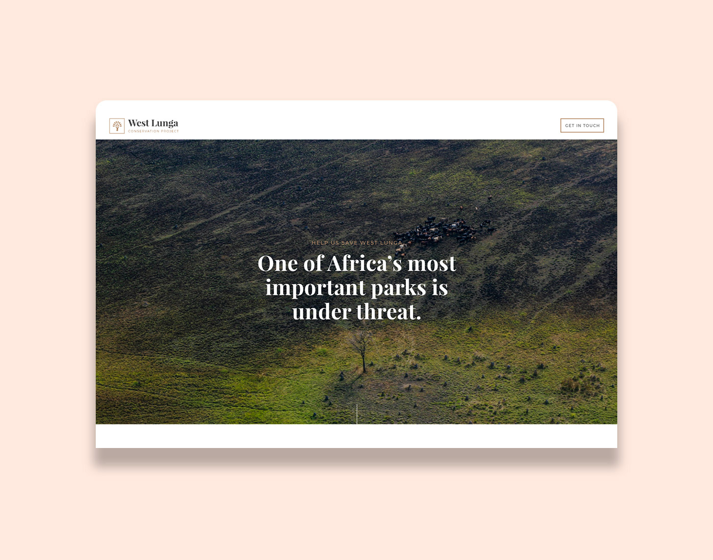 Squarespace website charity