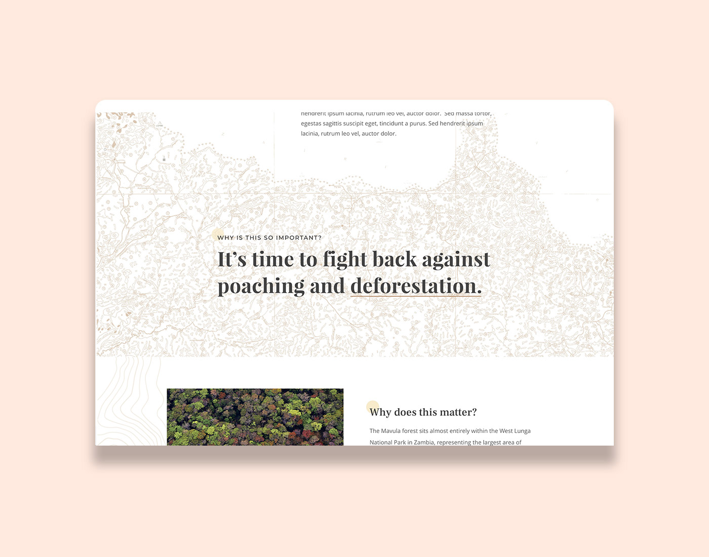 Squarespace_website_photographer