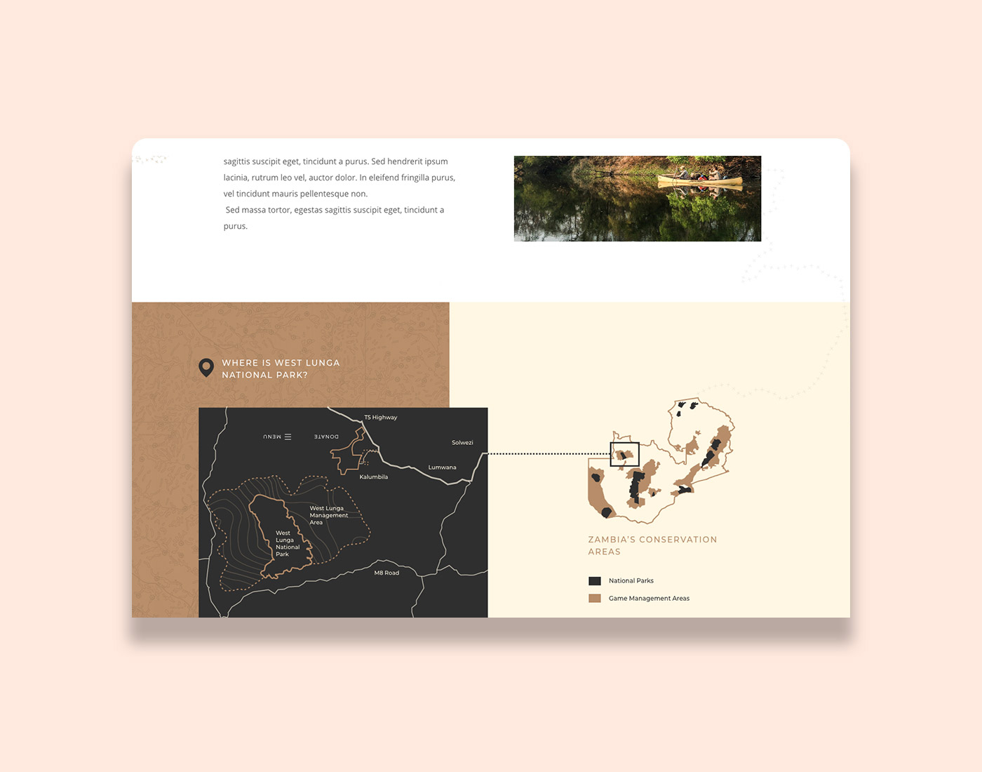 NGO web design
