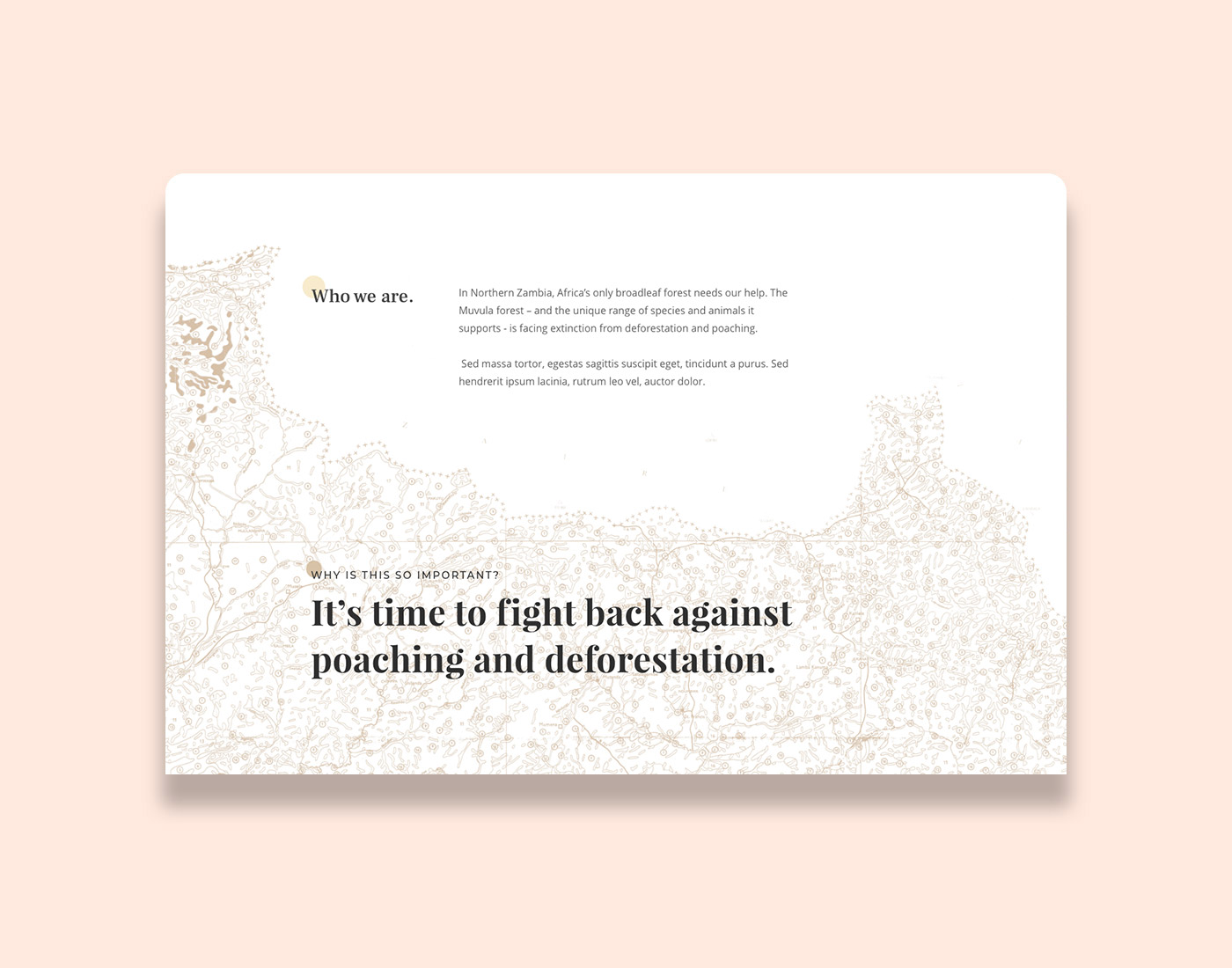 Website design for charity using Squarespace